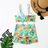 Brazil south America navy flower plant printing two-piece design women swimwear swimsuit for women MX2530 wholesale