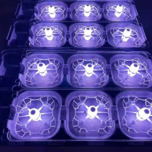 light show drone performance drones bee group  